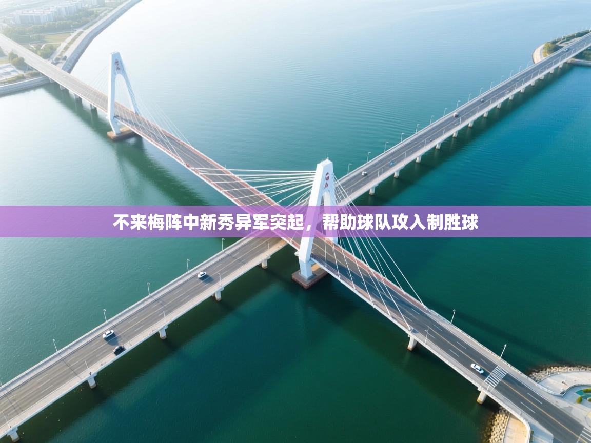 不来梅阵中新秀异军突起,帮助球队攻入制胜球 第1张