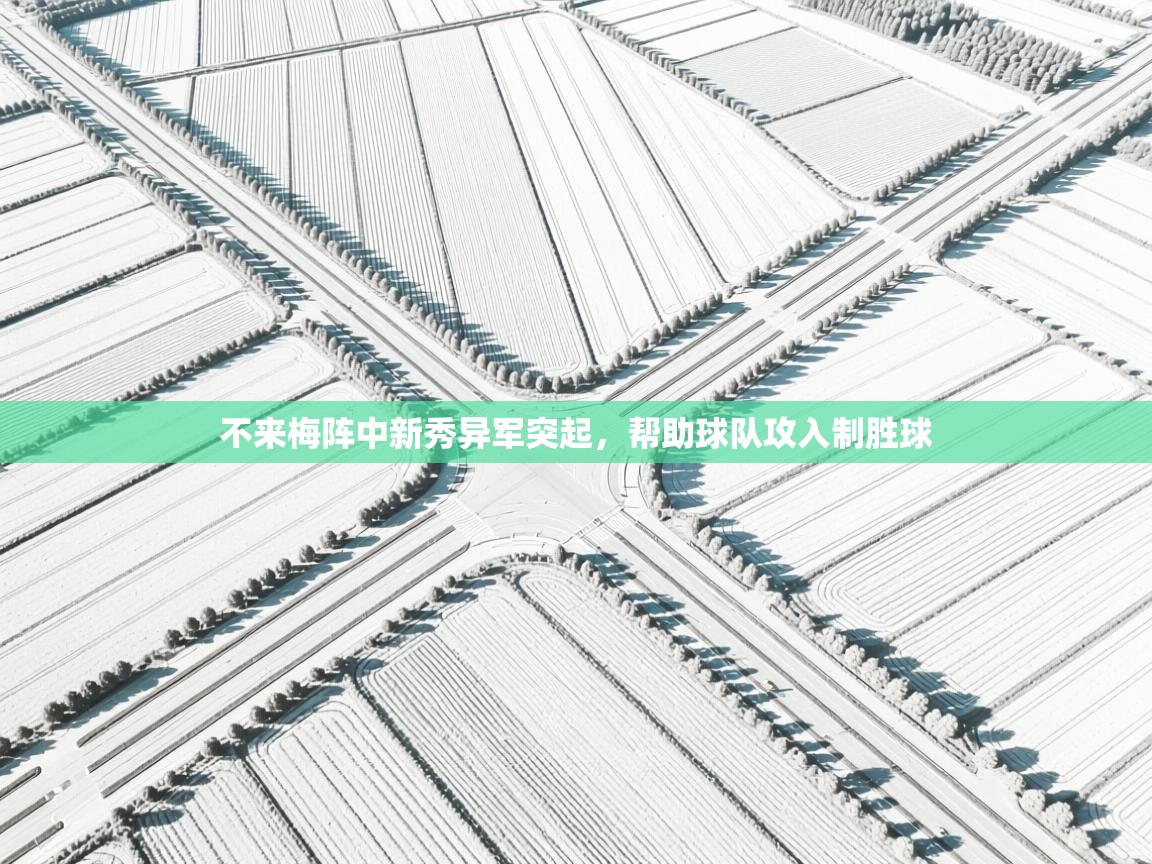 不来梅阵中新秀异军突起,帮助球队攻入制胜球 第2张